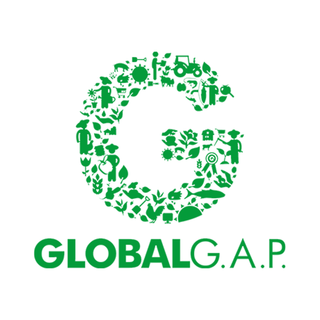 Logo global GAP Hermanos Guerreros